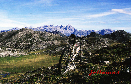 sitio-engalvarse-bussines-google