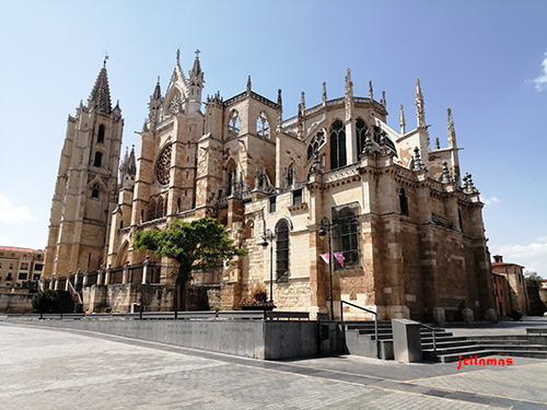 catedral-león-pulchra-leonina