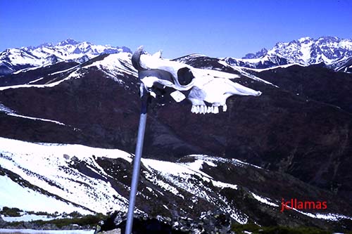 pico-de-piedras-hoyas